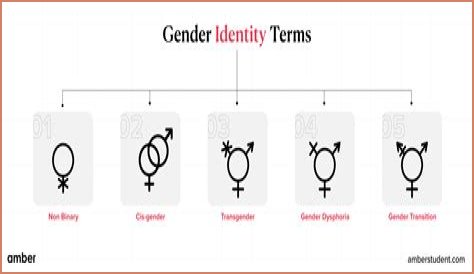 Understanding Gender Identity: The Case Of Brittney Griner's Biological Sex